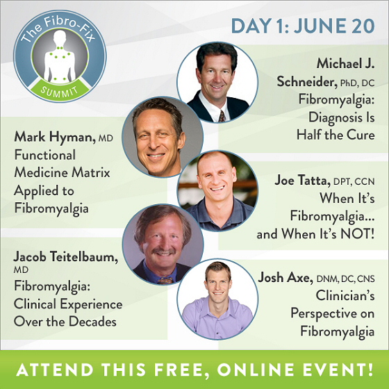 Fibro Fit Summit