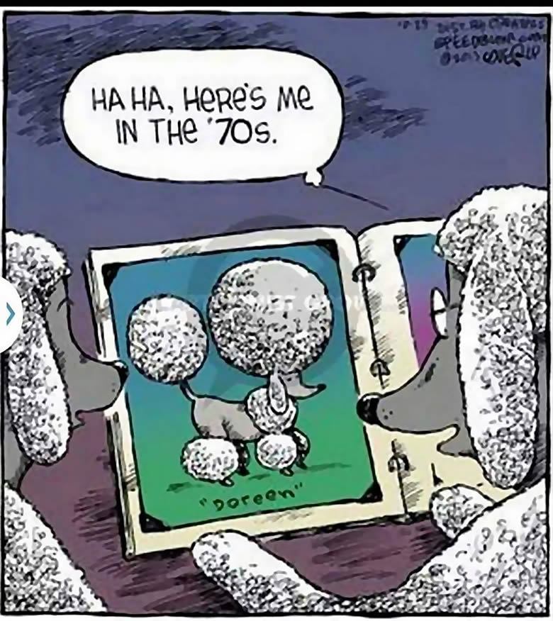 &0s Poodle Style