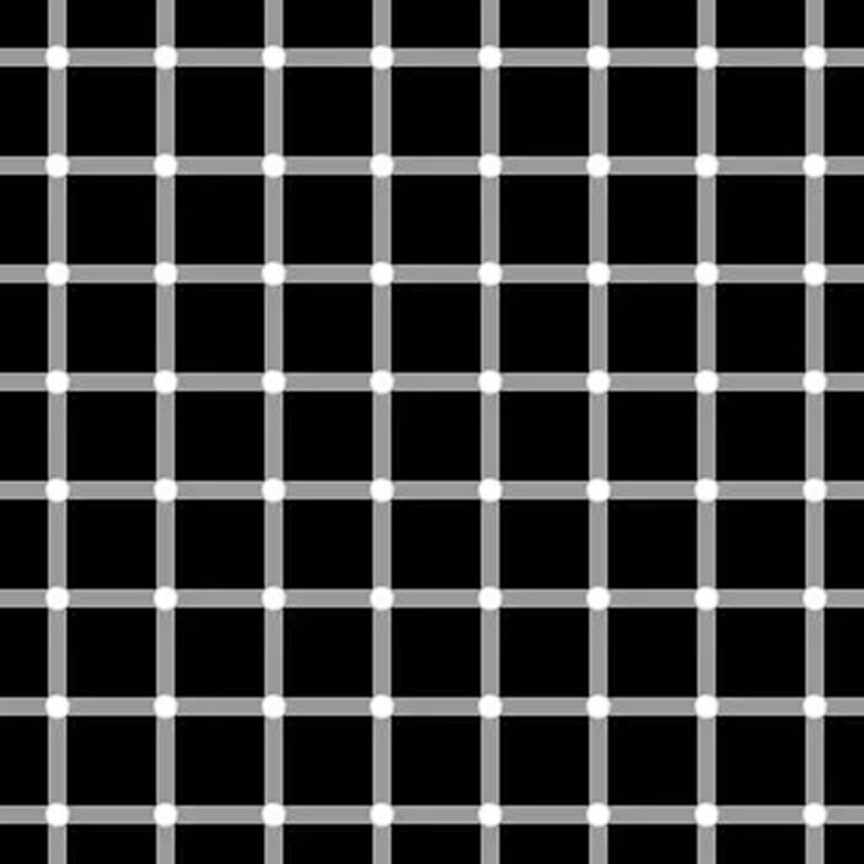 Hermann Grid Optical Illusion 