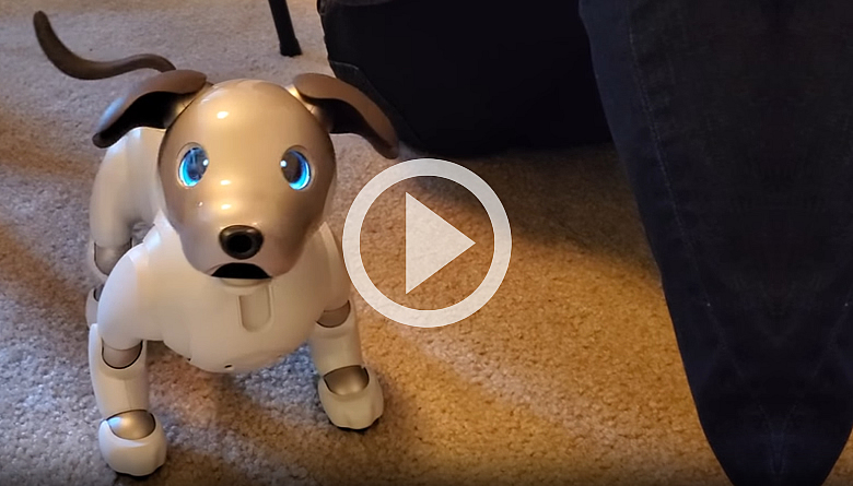 AIBO, the Robot Dog