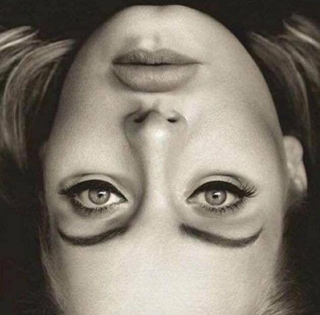 Upside Down Face