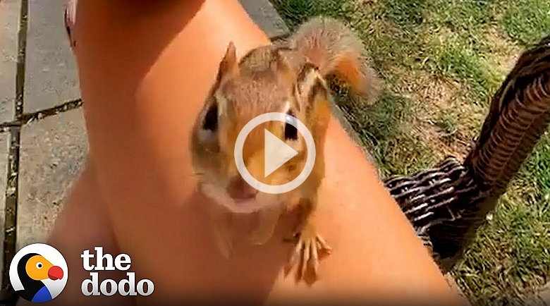 Charlie the Friendly Squirral