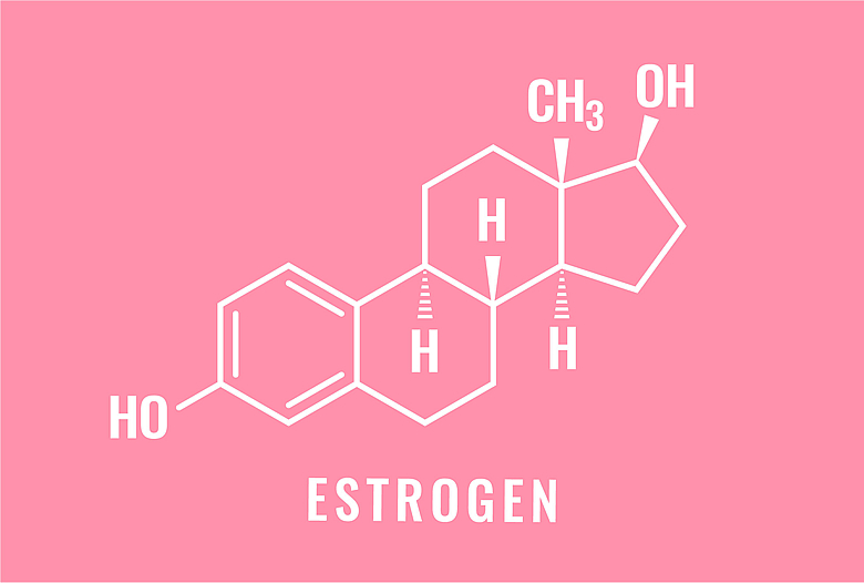 Estrogen