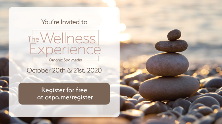 The Wellness Experience